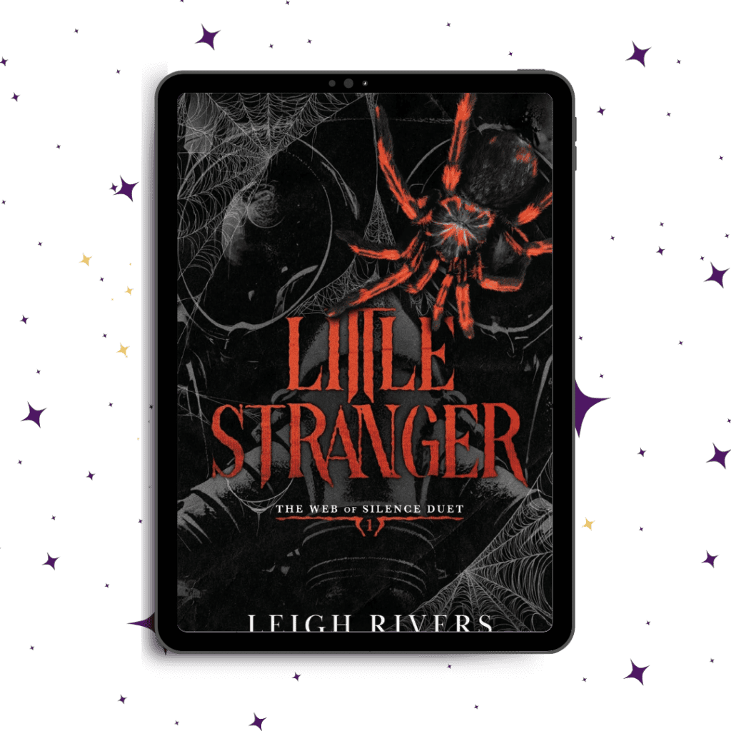 Cover image for Little Stranger